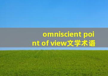 omniscient point of view文学术语